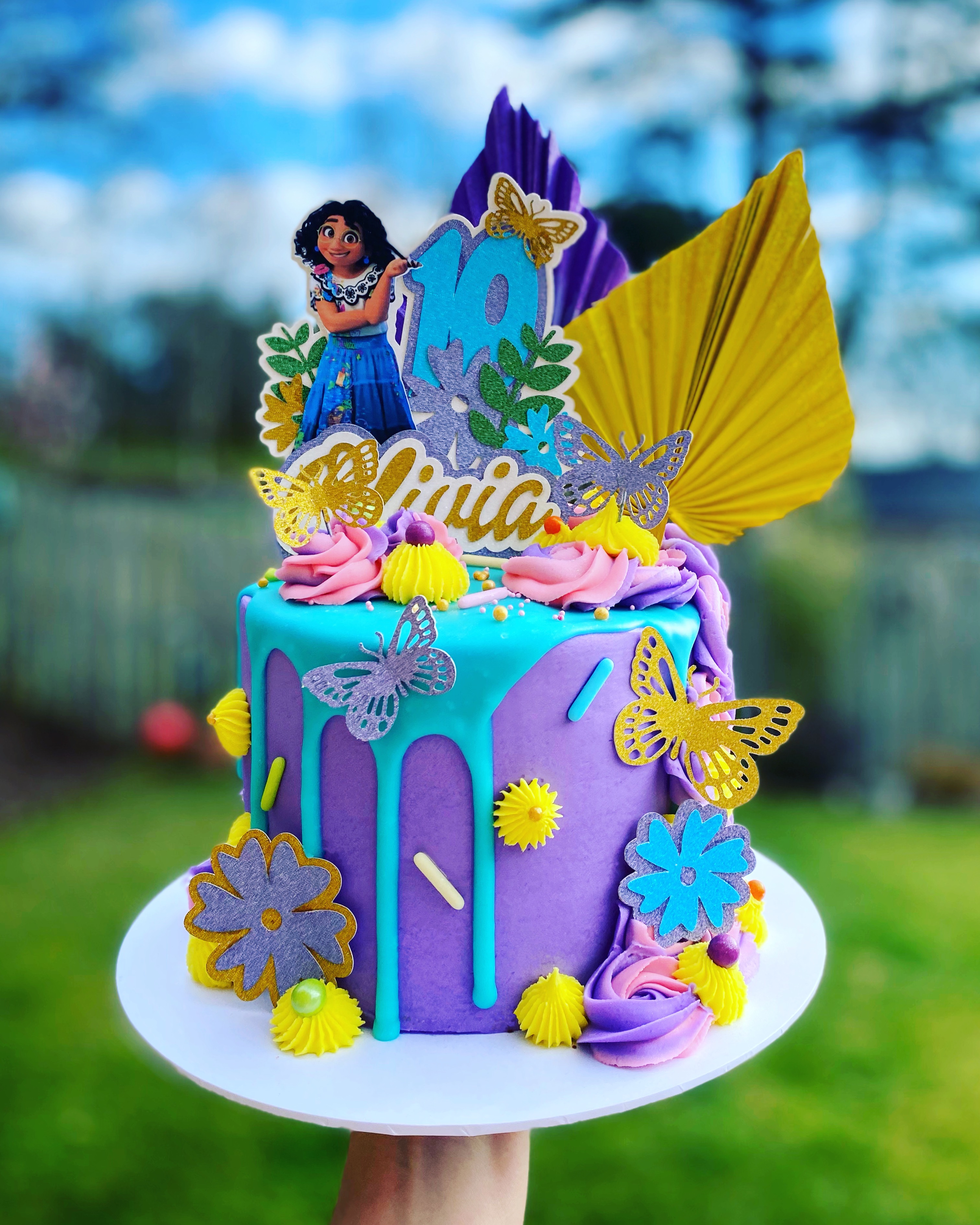 Publix Disney Encanto Cake 71 - b7uvc62